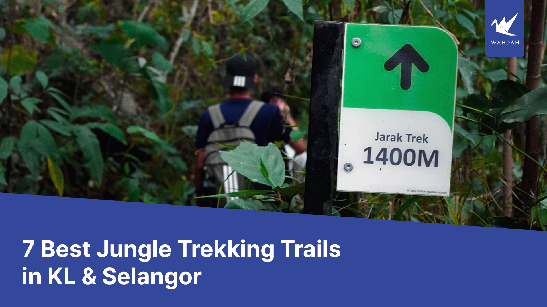 7 Best Jungle Trekking Trails in KL & Selangor